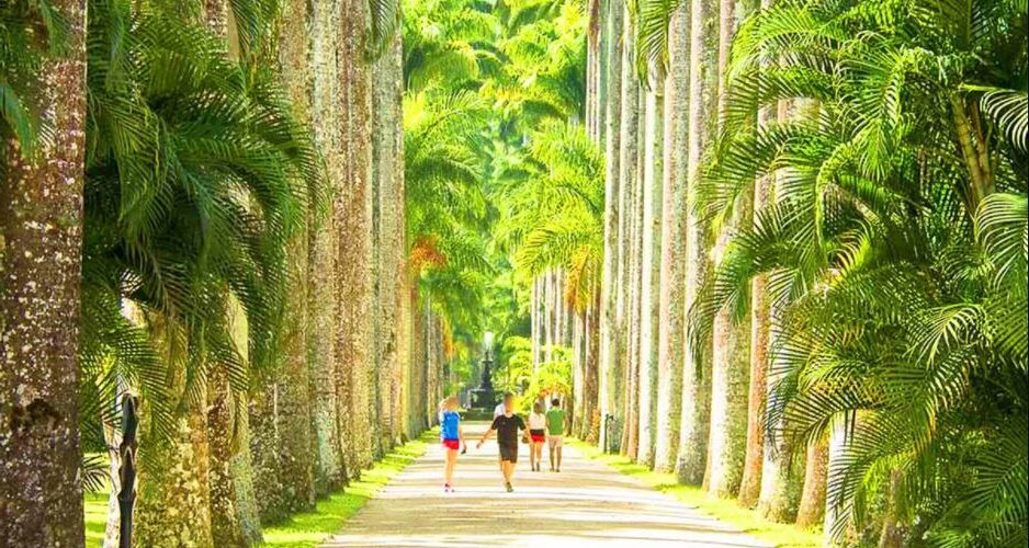 Jardim Botânico do Rio de Janeiro - Natureza e História
